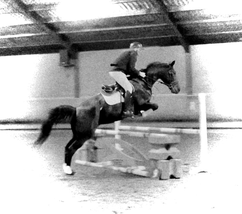 Equitation